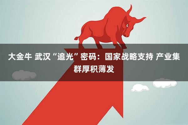 大金牛 武汉“追光”密码：国家战略支持 产业集群厚积薄发