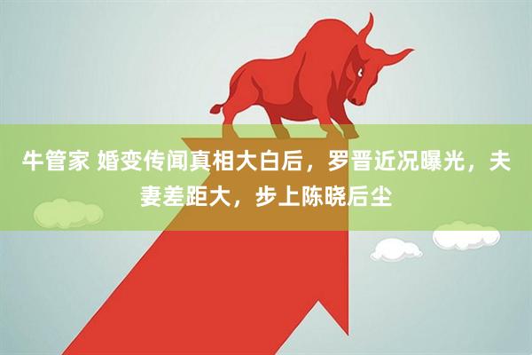 牛管家 婚变传闻真相大白后，罗晋近况曝光，夫妻差距大，步上陈晓后尘